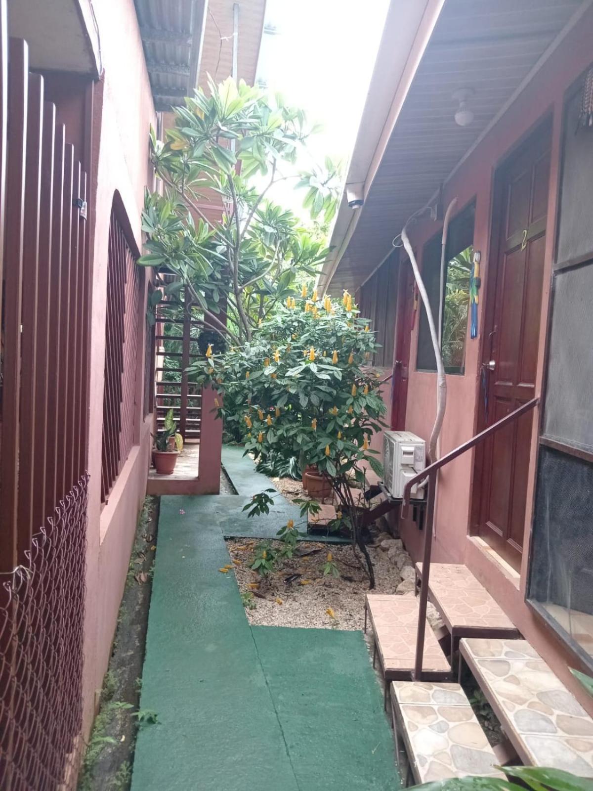 Nambi de Nicoya Nambi Rooms מראה חיצוני תמונה